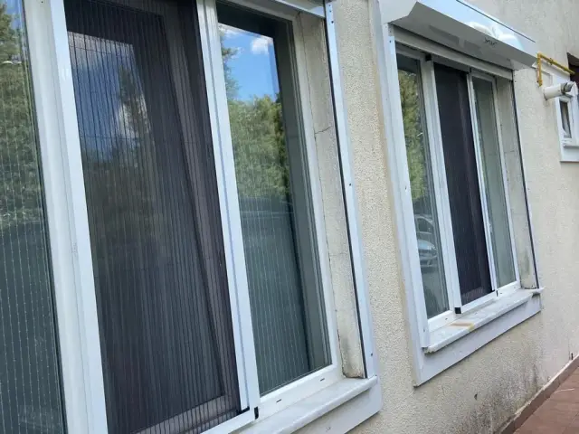 Pileli Sineklik — Sarıgazi